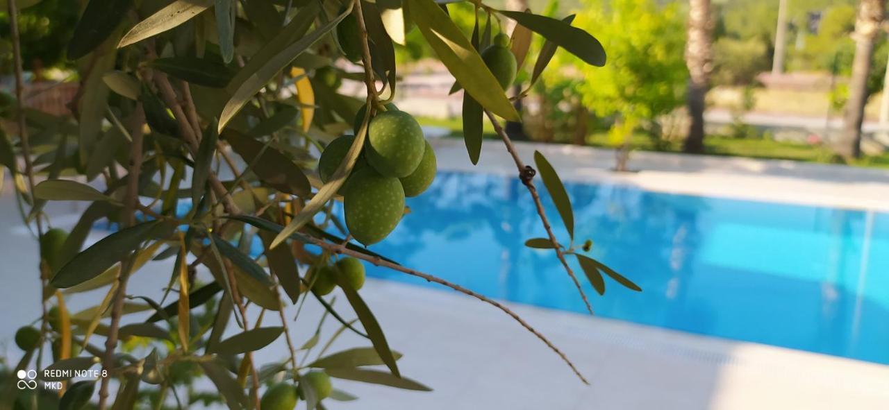 Green Garden Otel Kemer Luaran gambar