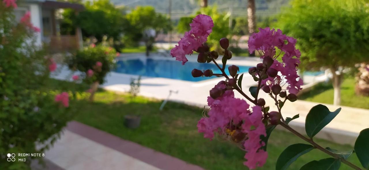 Green Garden Otel Kemer Luaran gambar